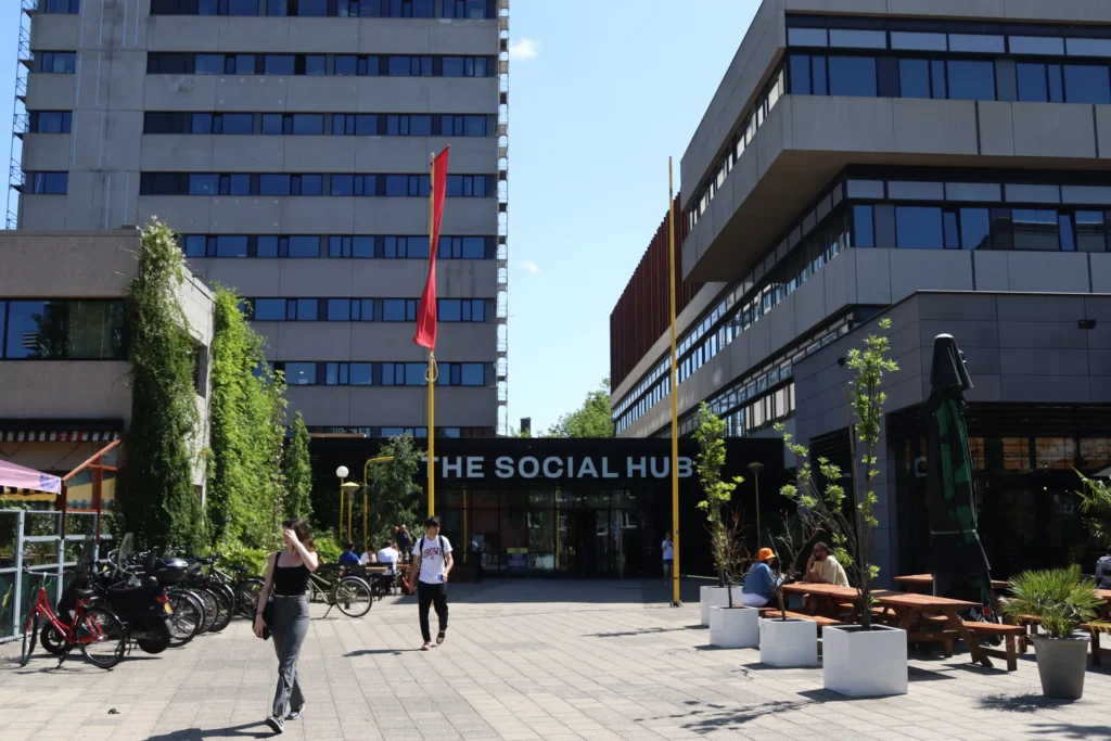 The Social Hub